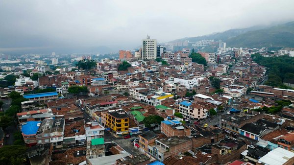 How can you enhance privacy in a densely populated UK neighbourhood?